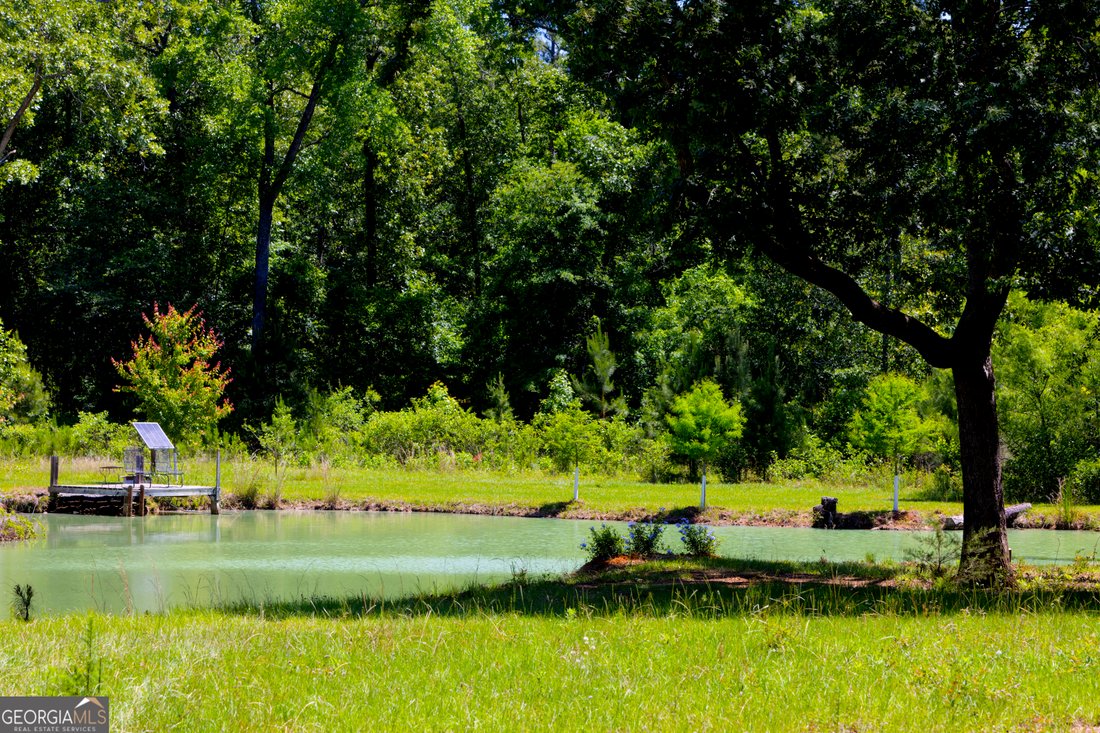 Farm Ranch in Dawson, Georgia, United States 2 - 18048317