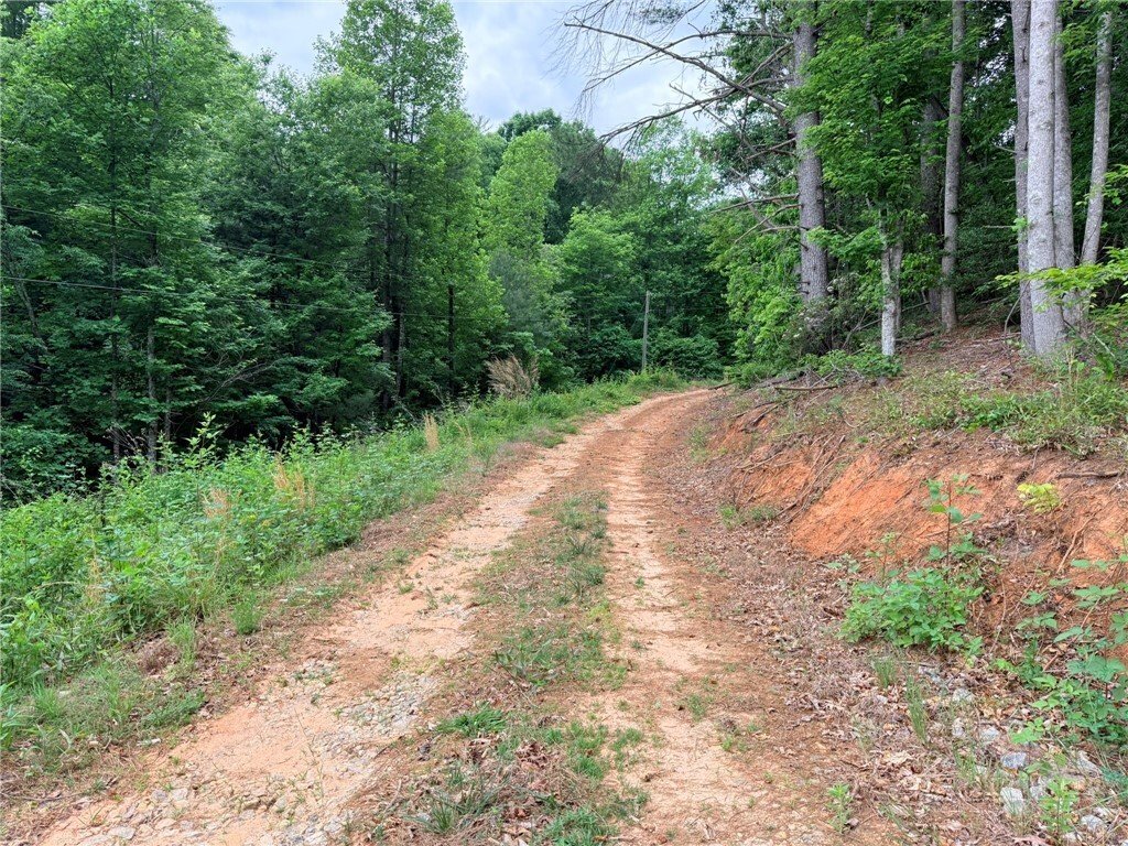Land in Wilkesboro, North Carolina, United States 4 - 18045597