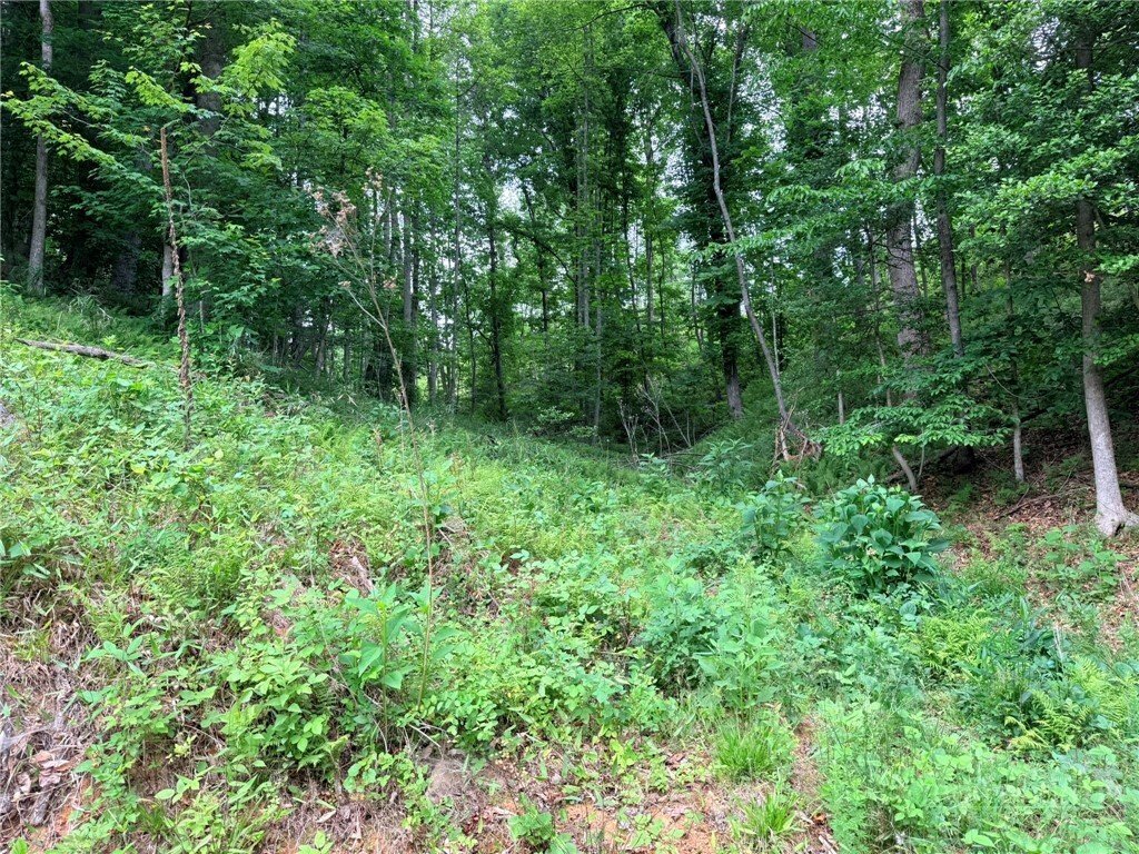Land in Wilkesboro, North Carolina, United States 3 - 18045597