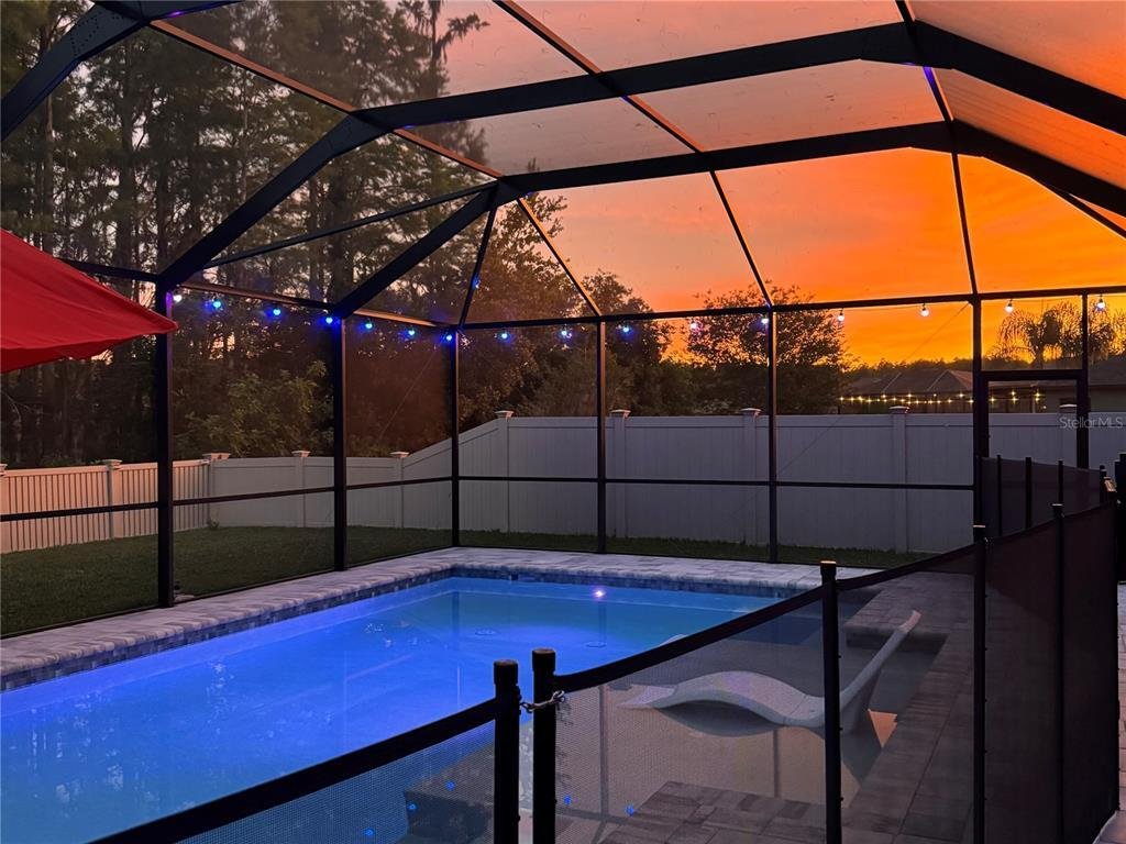 House in Trinity, Florida, United States 3 - 17845602