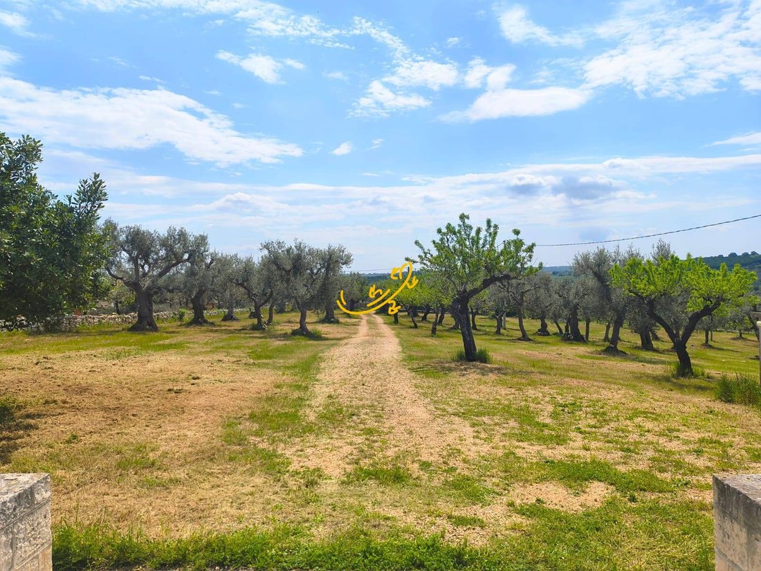 Chalet in Impalata - Santa Lucia - The Assumption, Monopoli, Apulia 4 - 18043036