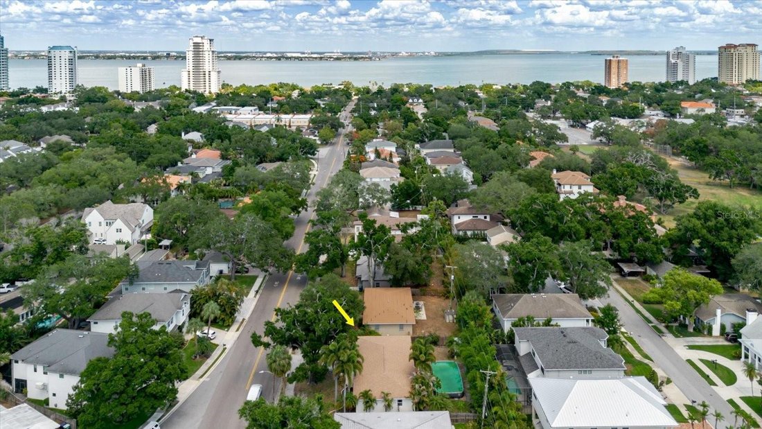 House in Tampa, Florida, United States 3 - 18044240