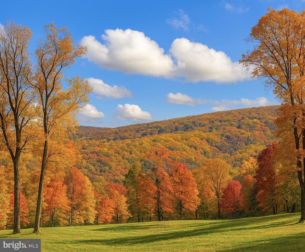 House in Linden, Virginia, United States 2 - 18045460