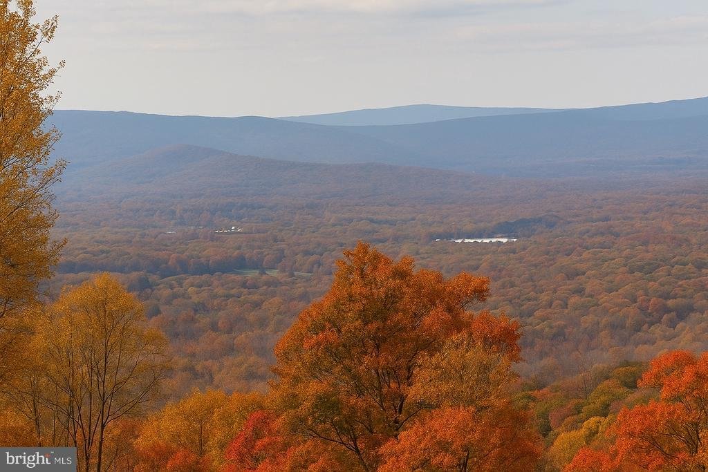 House in Linden, Virginia, United States 4 - 18045460