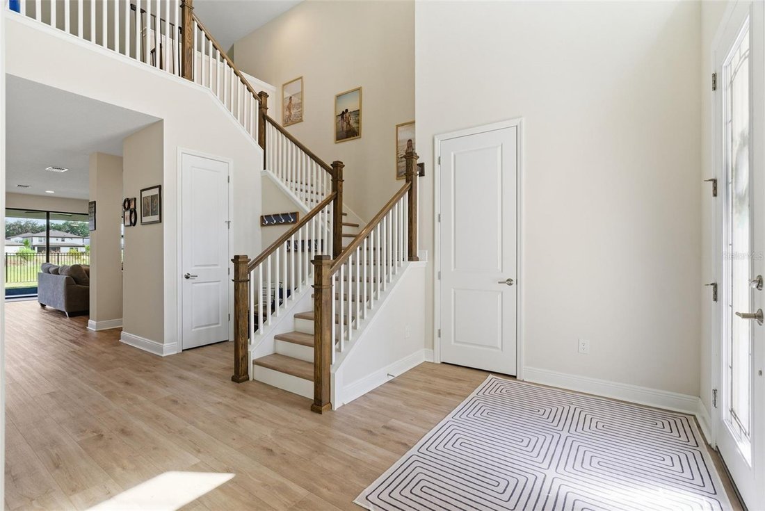 House in Lithia, Florida, United States 4 - 18046863
