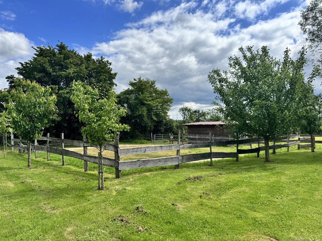 Farm Ranch in Chateaurenaud, Louhans-Châteaurenaud, France 4 - 18047121