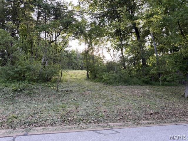 Land in Town and Country, Missouri, United States 2 - 18048970