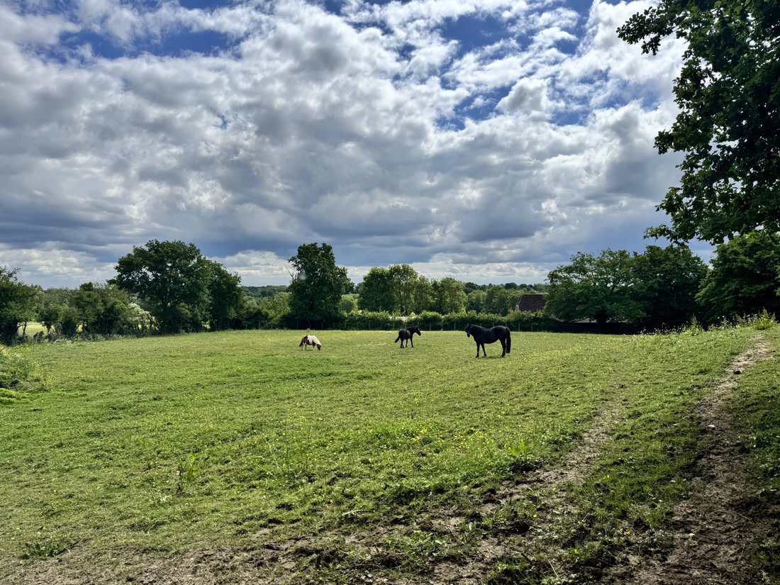 Farm Ranch in Chateaurenaud, Louhans-Châteaurenaud, France 2 - 18047121