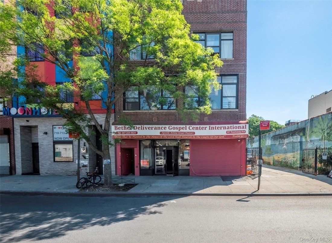 House in New York, New York, United States 1 - 18052416