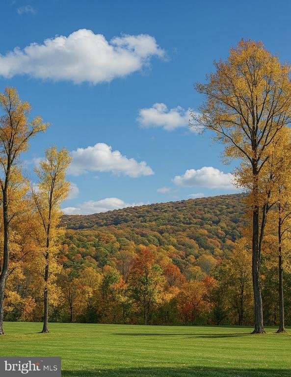 House in Linden, Virginia, United States 3 - 18045460
