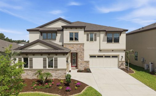 House in Lithia, Florida, United States 1
