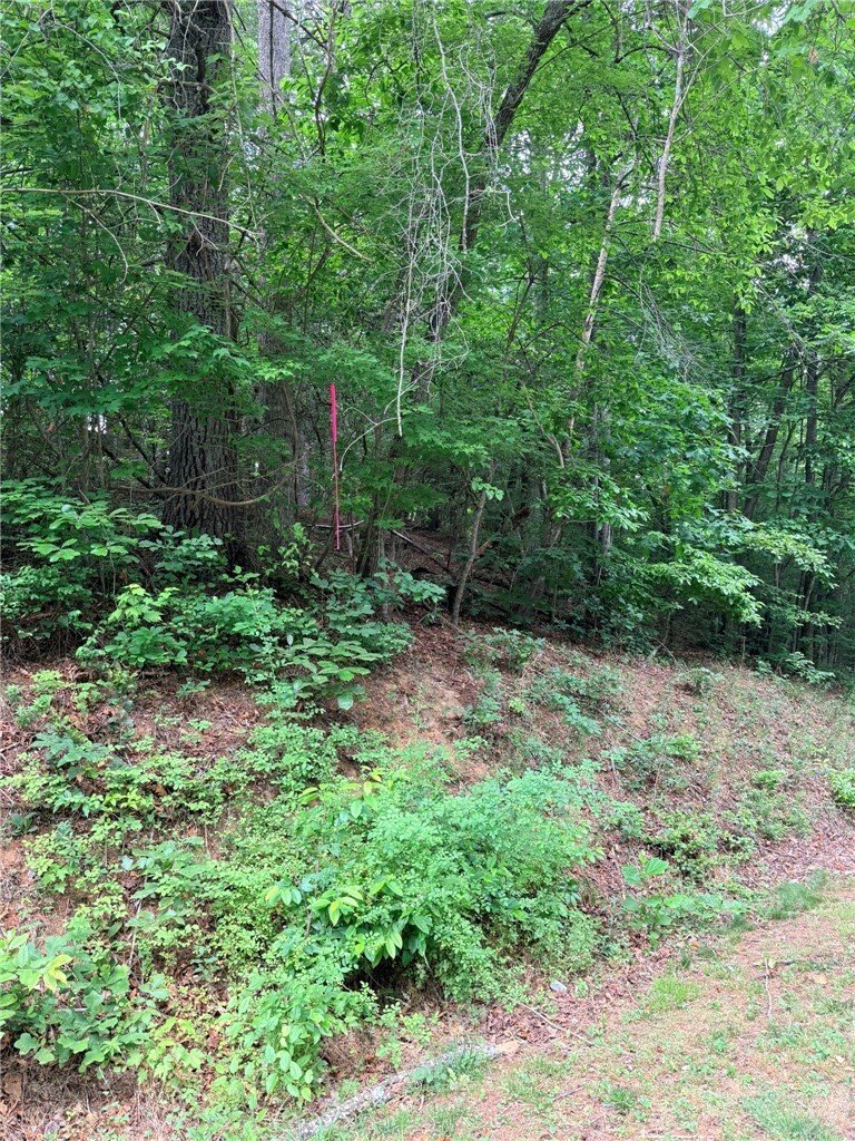 Land in Wilkesboro, North Carolina, United States 2 - 18045597