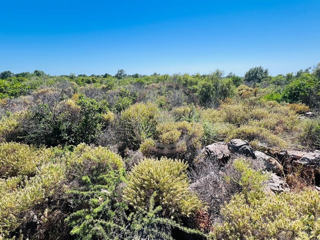 Land in Almancil, Algarve, Portugal 5 - 18043963