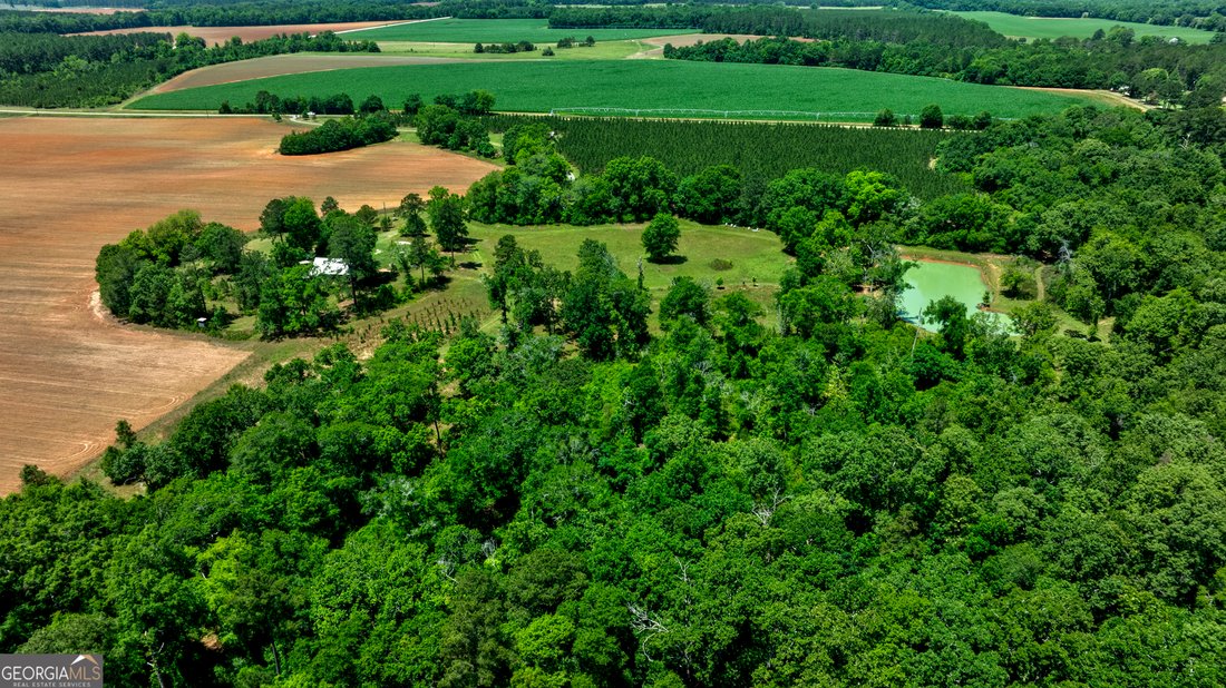Farm Ranch in Dawson, Georgia, United States 4 - 18048317