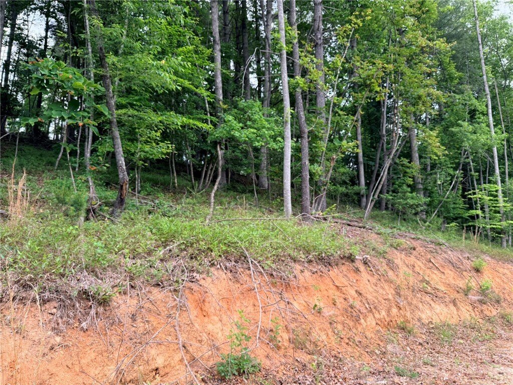 Land in Wilkesboro, North Carolina, United States 5 - 18045597