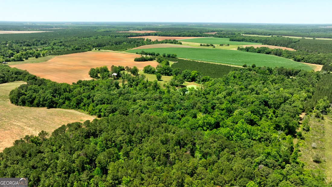 Farm Ranch in Dawson, Georgia, United States 3 - 18048317