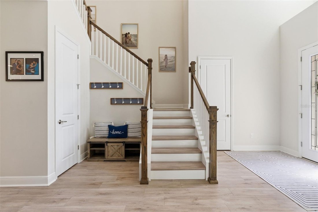 House in Lithia, Florida, United States 5 - 18046863