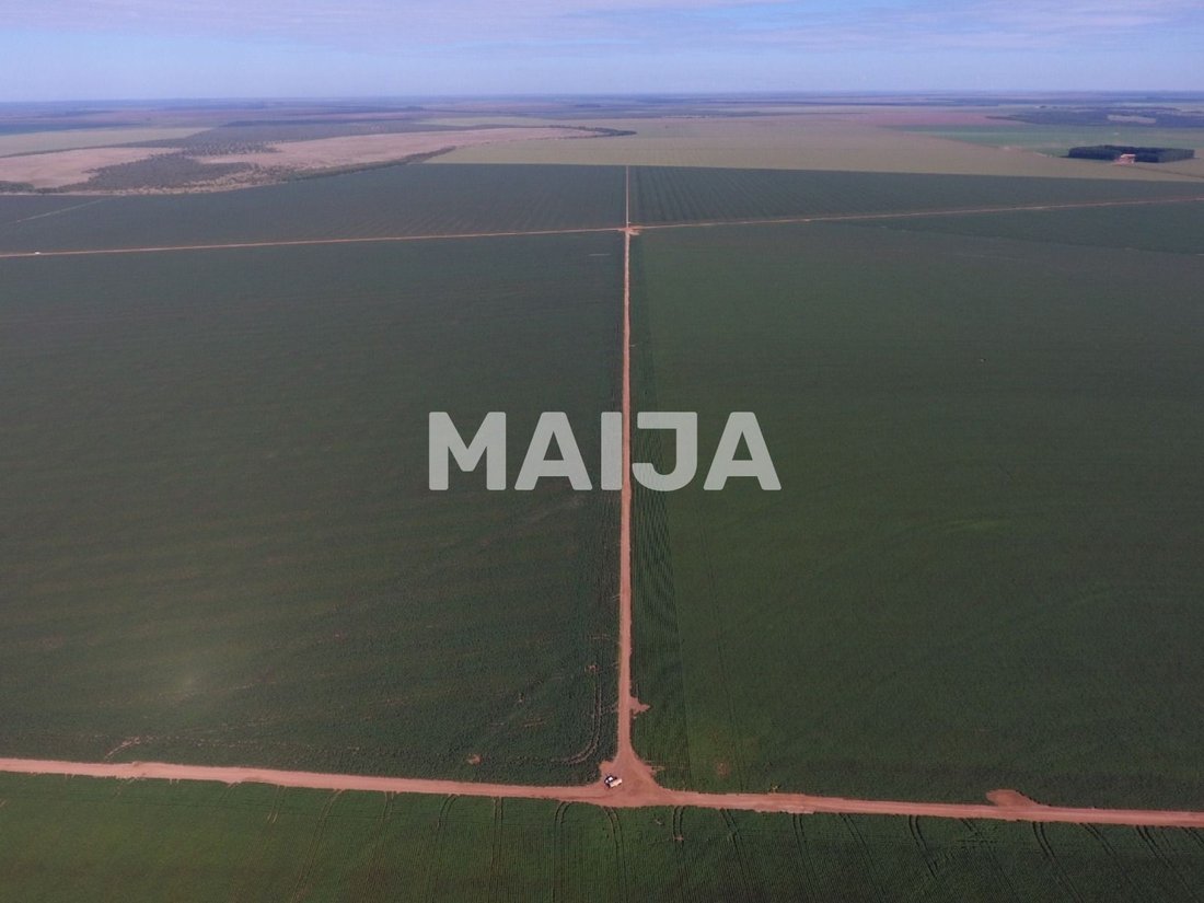 Land in Formosa, Brazil 1 - 18048123