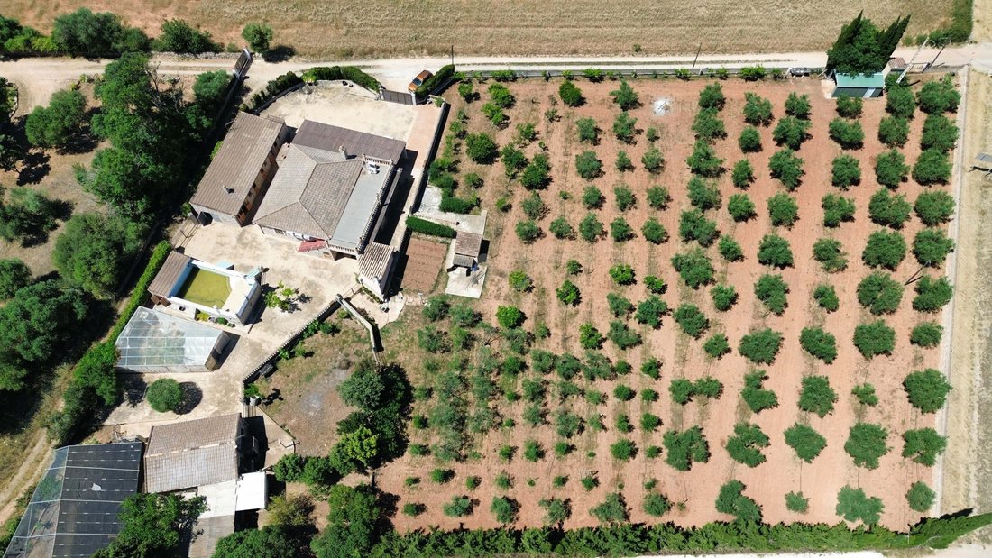 Santa Eugenia, Balearic Islands, Spain 2 - 18046163