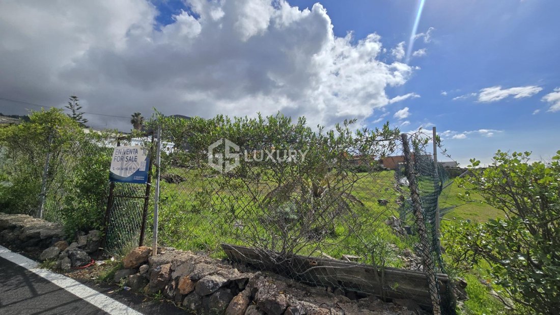 Finca in Guia de Isora, Canary Islands, Spain 2 - 17925741