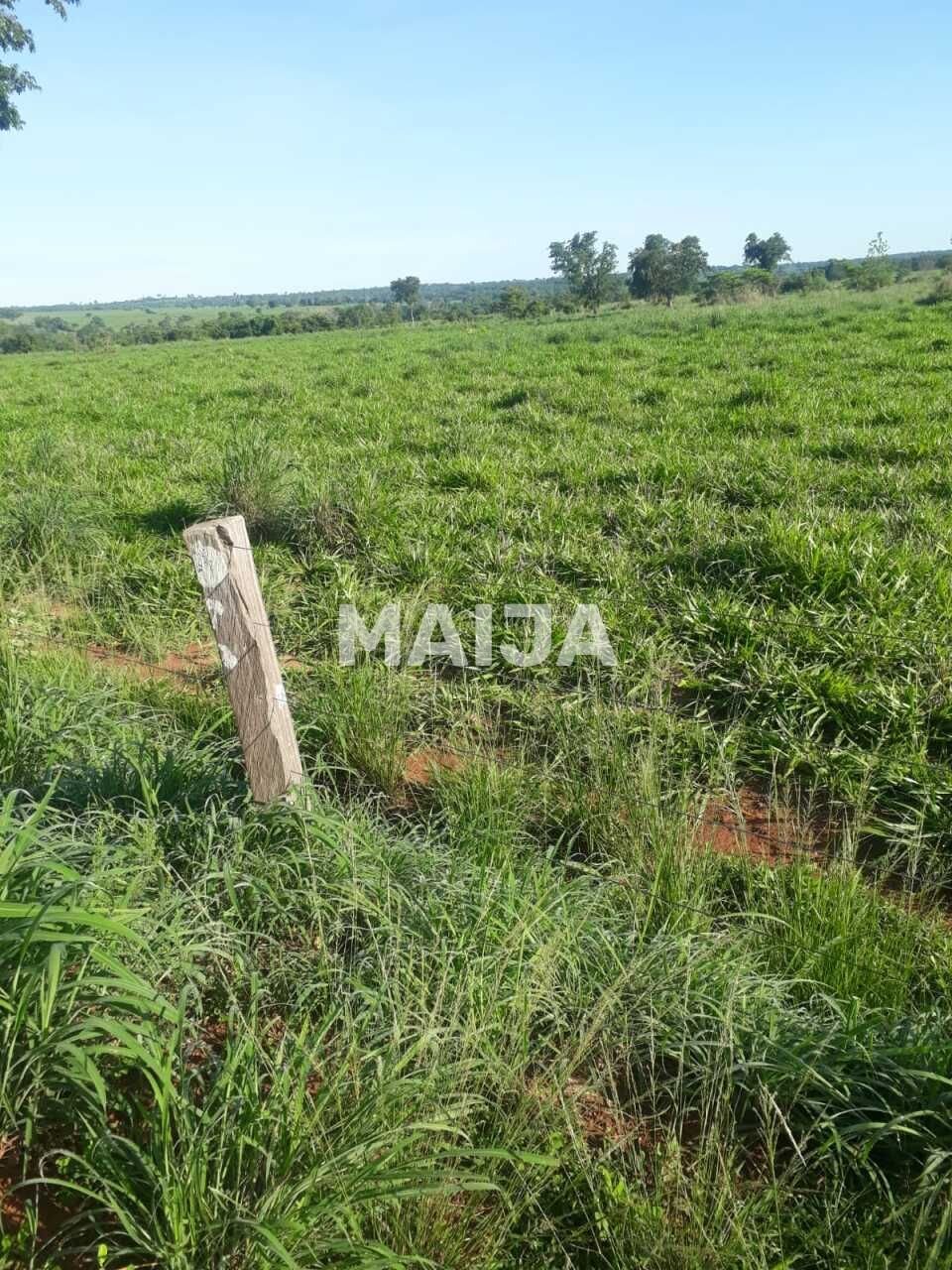 Land in Formosa, Brazil 5 - 18048123