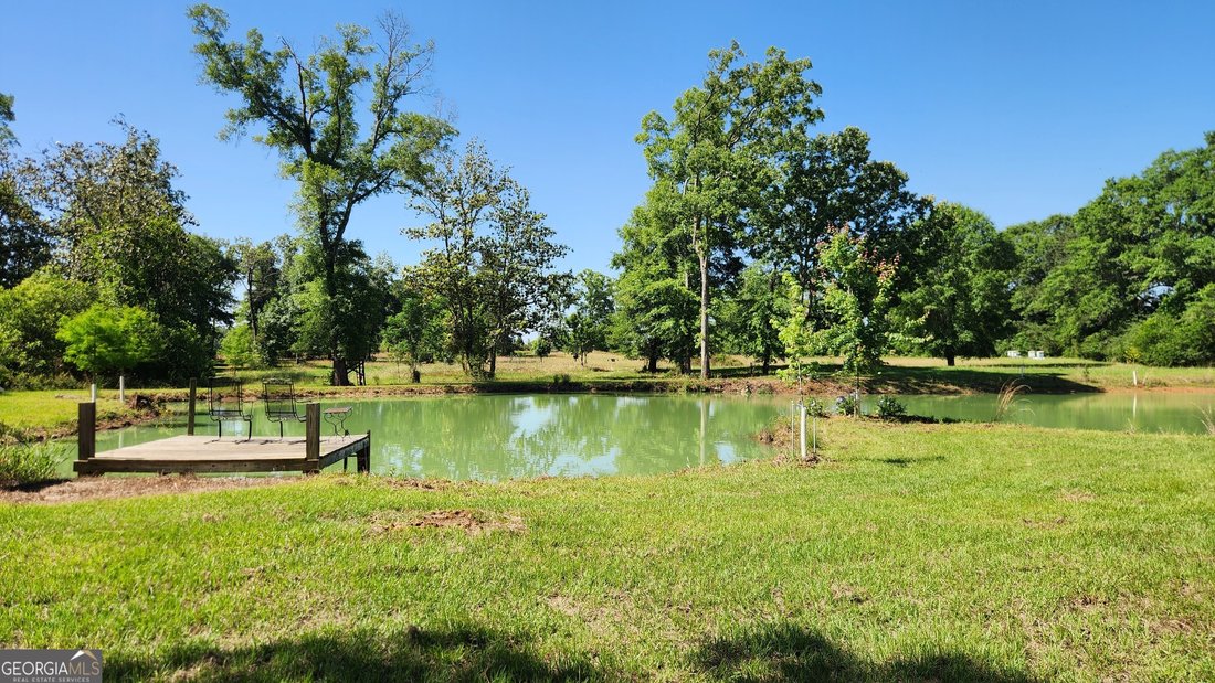 Farm Ranch in Dawson, Georgia, United States 5 - 18048317