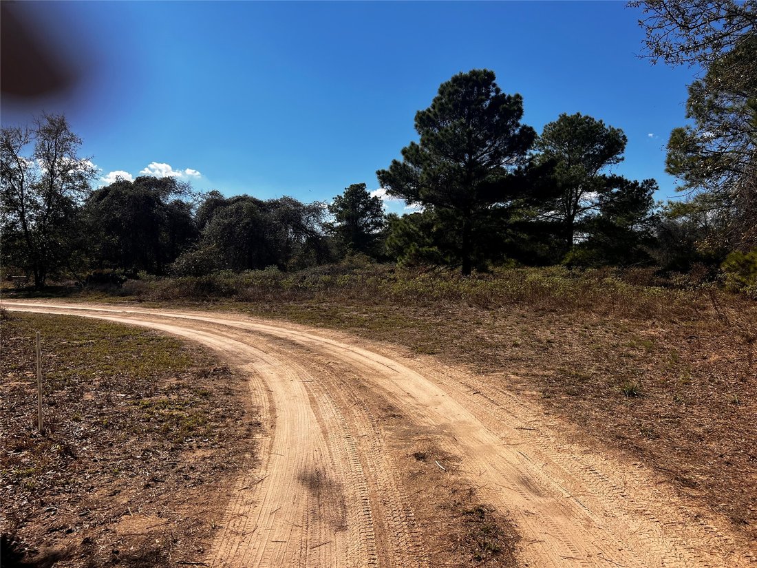 Rancho en Bastrop, Texas, Estados Unidos 3 - 16554376