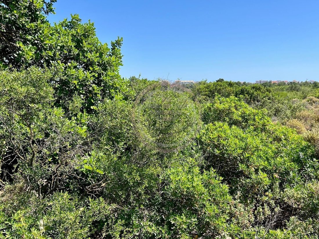 Land in Almancil, Algarve, Portugal 3 - 18043963