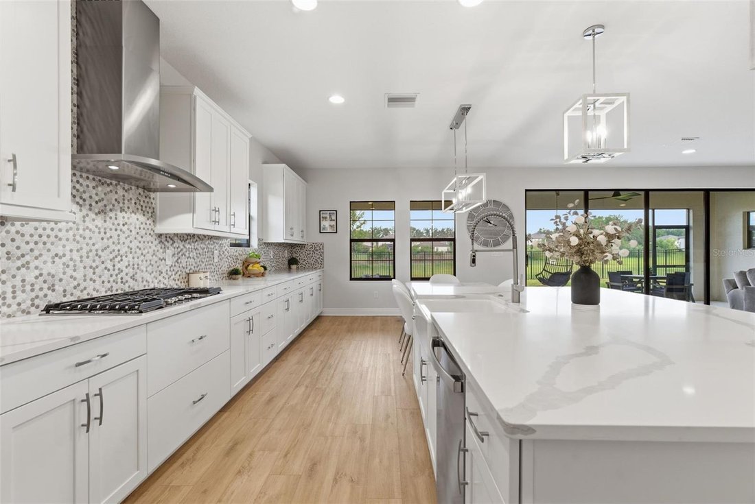 House in Lithia, Florida, United States 3 - 18046863