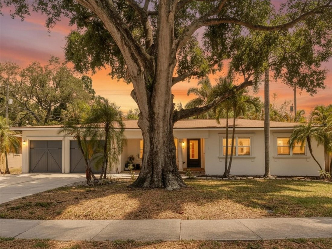 House in Tampa, Florida, United States 1 - 18044240
