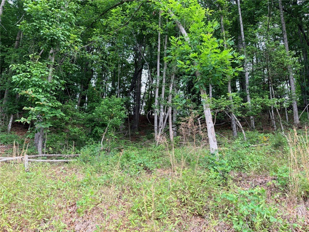 Land in Wilkesboro, North Carolina, United States 1 - 18045597