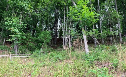 Land in Wilkesboro, North Carolina, United States 1