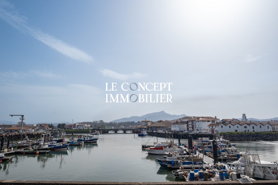 Apartment in Sainte Barbe-Lac, Saint-Jean-de-Luz, France 2 - 17290733