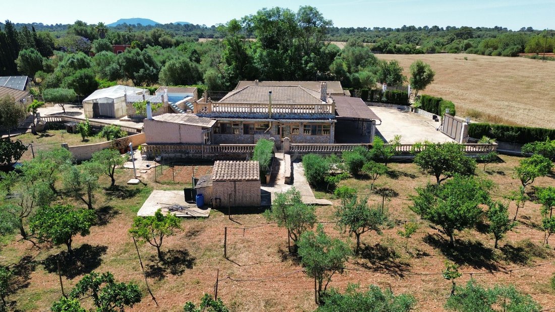 Santa Eugenia, Balearic Islands, Spain 4 - 18046163