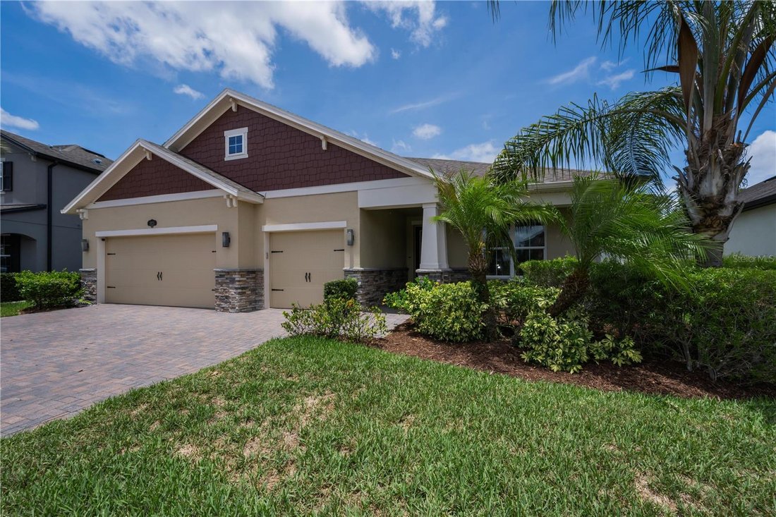 House in Land O' Lakes, Florida, United States 3 - 18046866