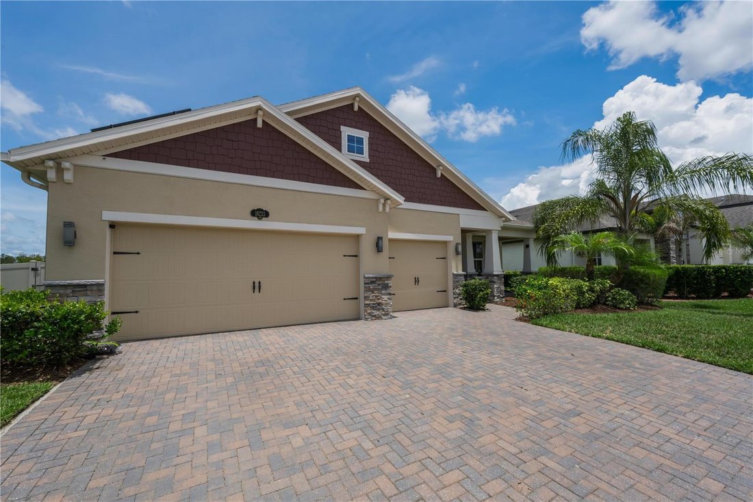 House in Land O' Lakes, Florida, United States 2 - 18046866