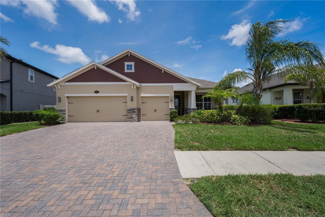 House in Land O' Lakes, Florida, United States 1 - 18046866