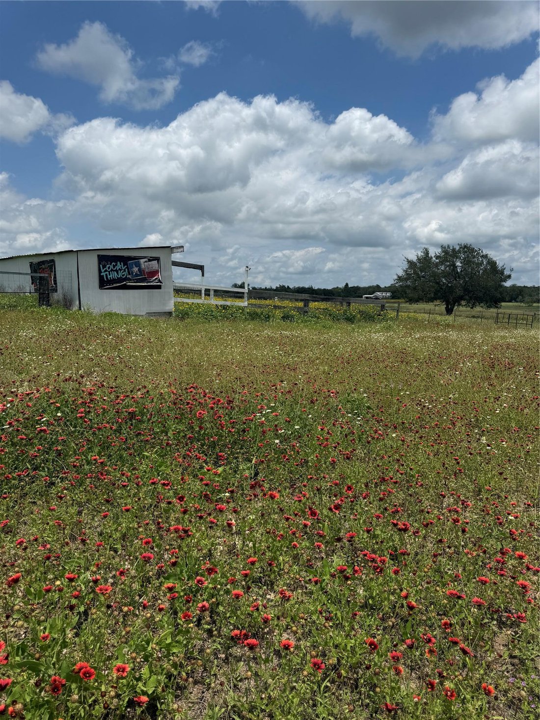 Harwood, Texas, United States 3 - 17187870