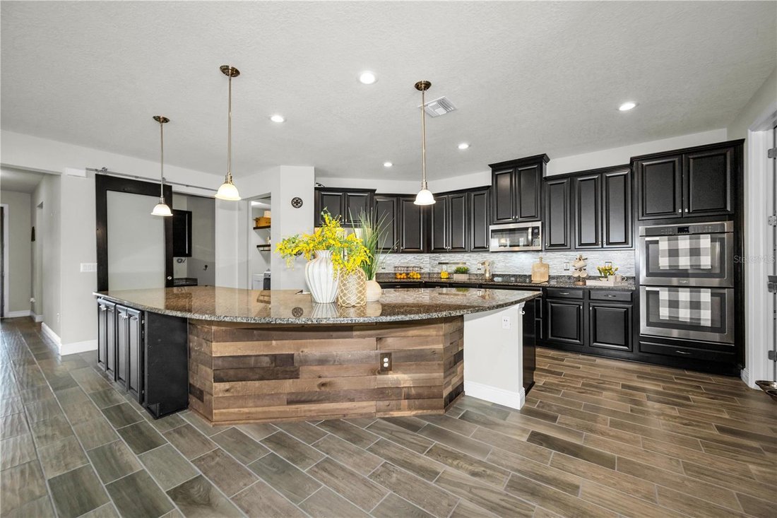Haus in Land O’ Lakes, Florida, Vereinigte Staaten 5 - 18046866