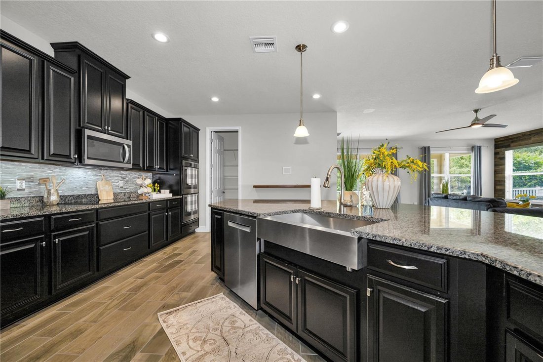Haus in Land O’ Lakes, Florida, Vereinigte Staaten 4 - 18046866