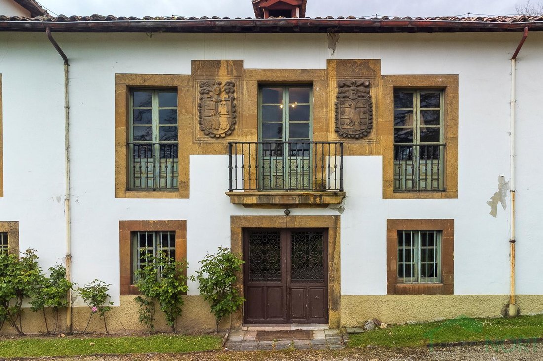 Oviedo, Asturias, Spain 3 - 16028095