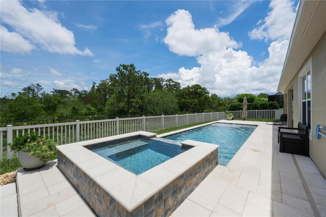 House in Land O' Lakes, Florida, United States 4 - 18046866