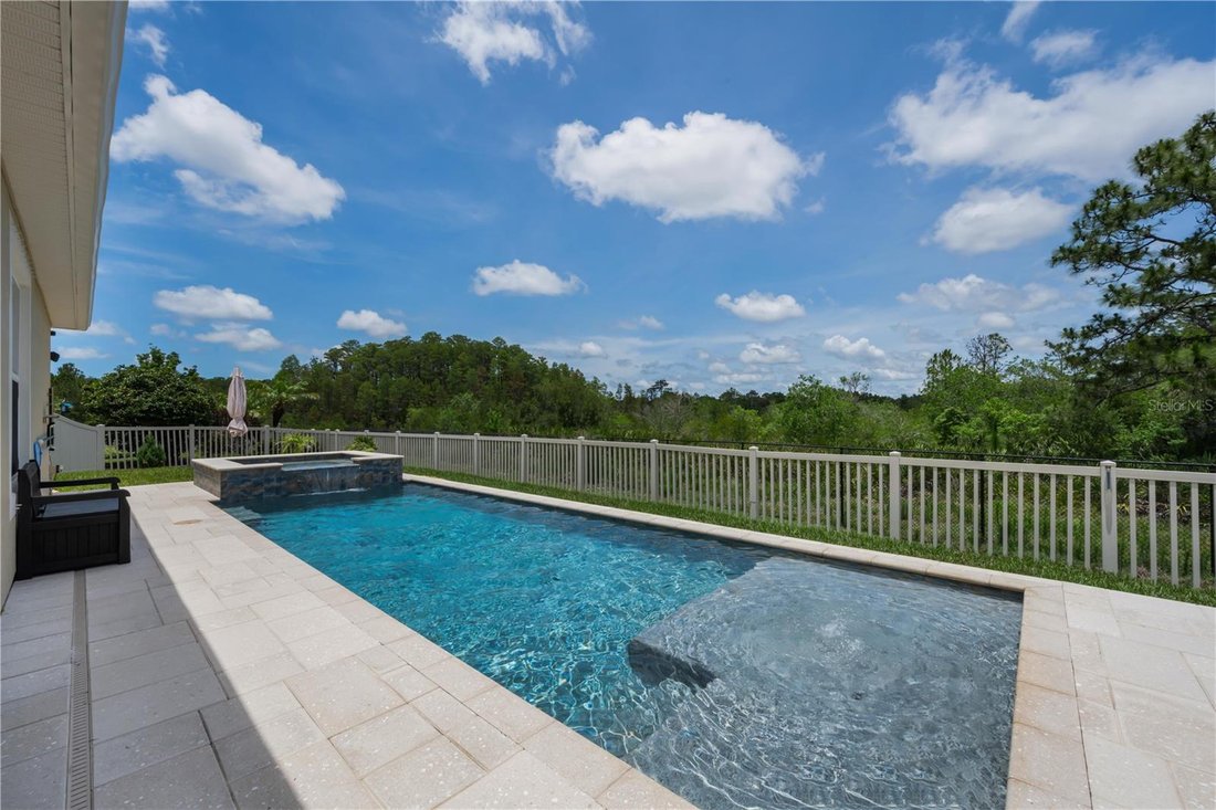 Haus in Land O’ Lakes, Florida, Vereinigte Staaten 3 - 18046866