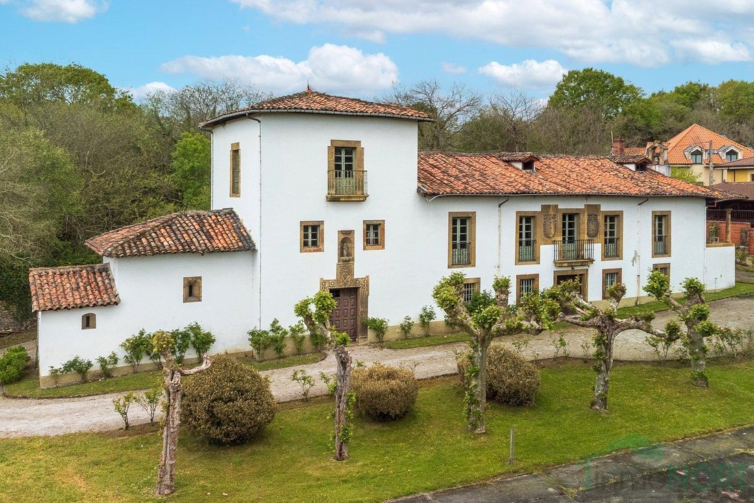 Oviedo, Asturias, Spain 1 - 16028095