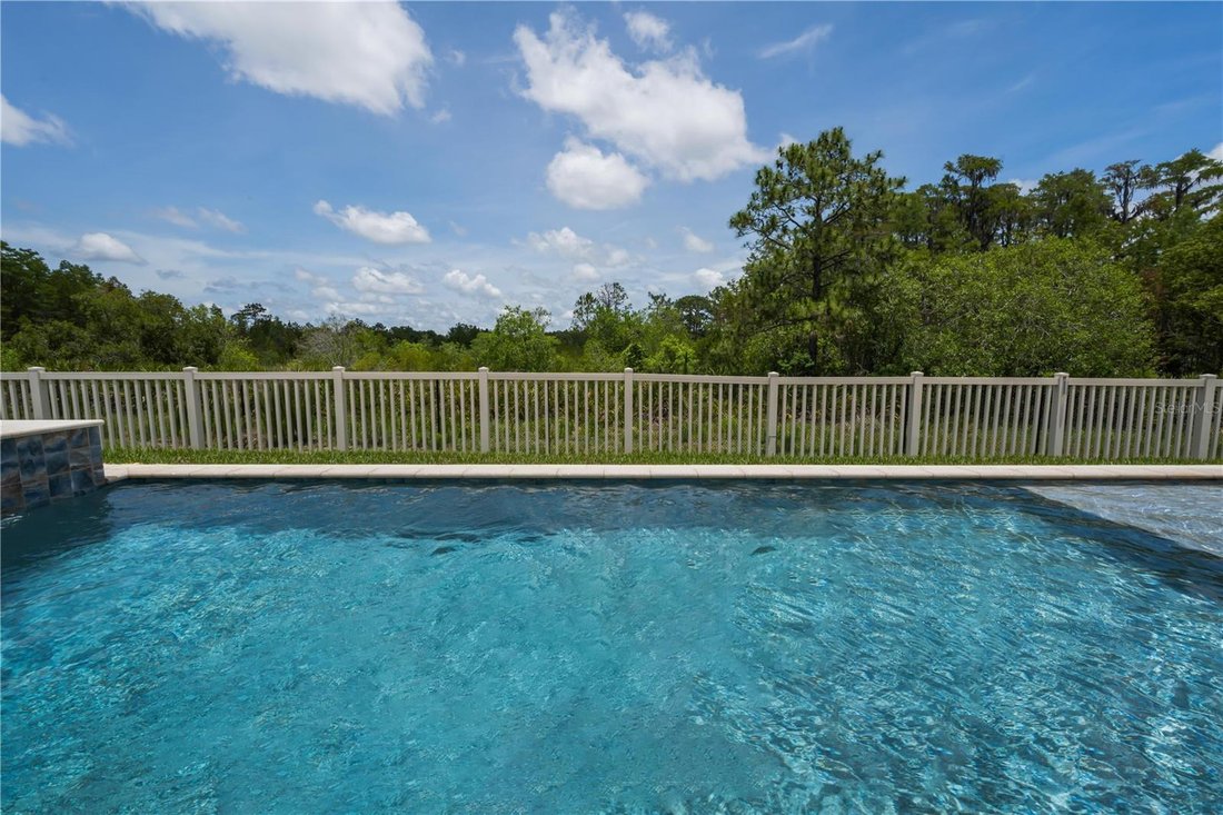 House in Land O' Lakes, Florida, United States 5 - 18046866