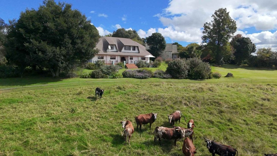 Farm Ranch in Merrivale, KwaZulu-Natal, South Africa 1 - 18053189