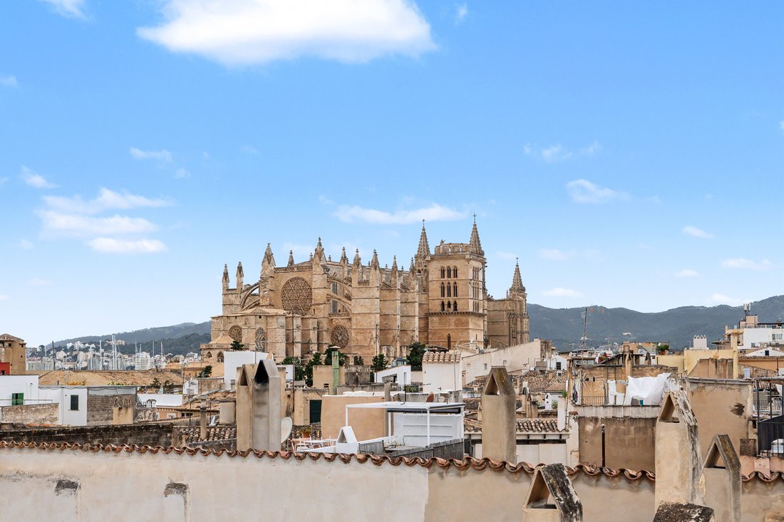 Estate in Palma, Balearic Islands, Spain 1 - 18053307