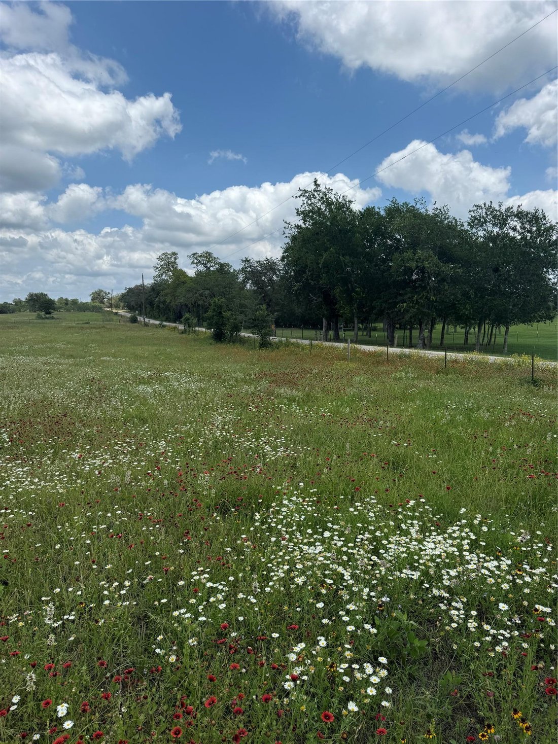 Harwood, Texas, United States 5 - 17187870