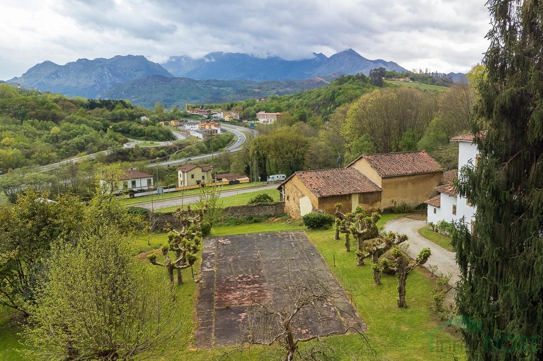 Oviedo, Asturias, Spain 4 - 16028095