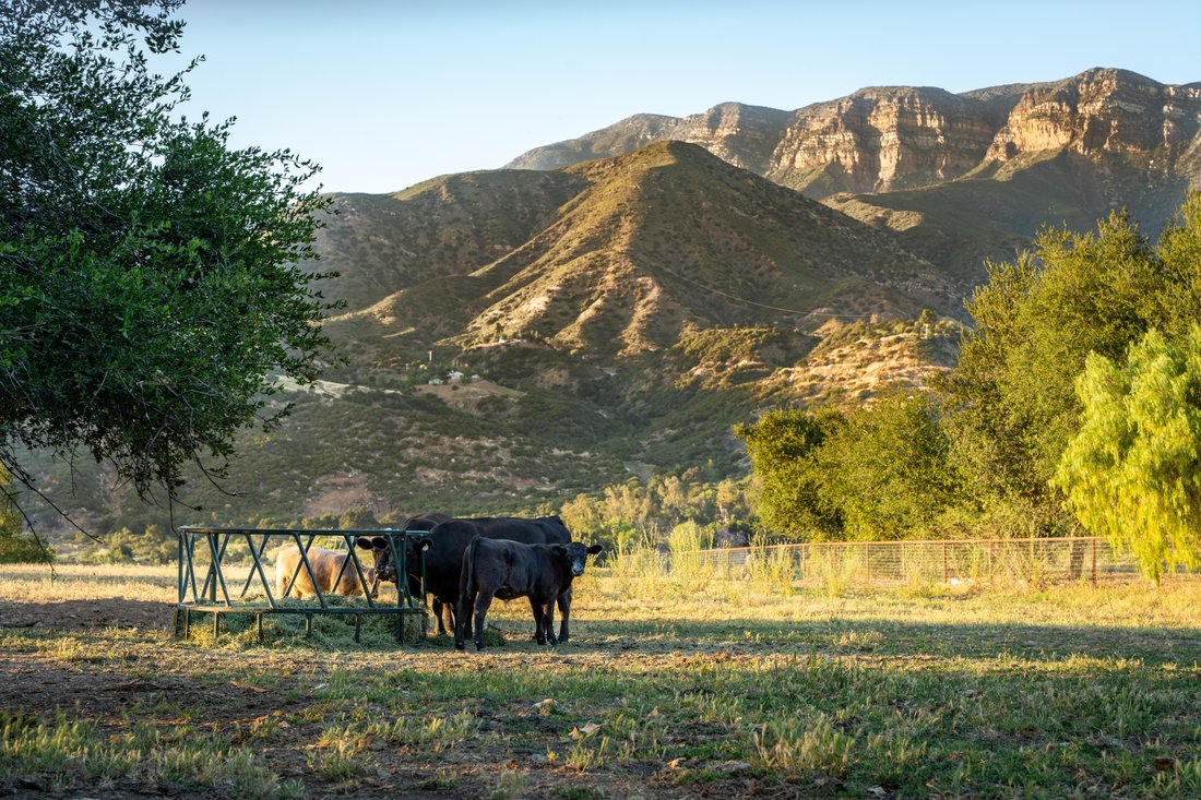 Farm Ranch in Santa Paula, California, United States 3 - 18053153